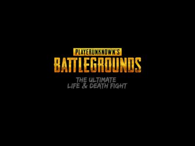 PlayerUnknown’s Battlegrounds（PUBG）