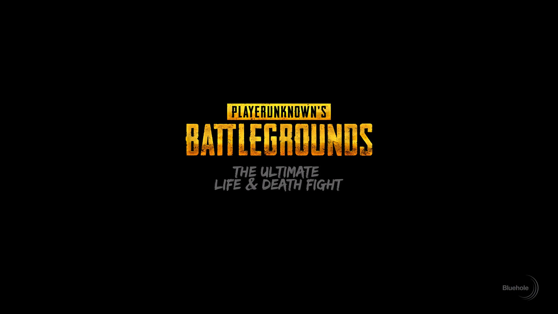 PlayerUnknown’s Battlegrounds（PUBG）
